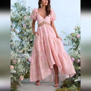 V. Chapman Pink High-Low Gown Plunge Neckline